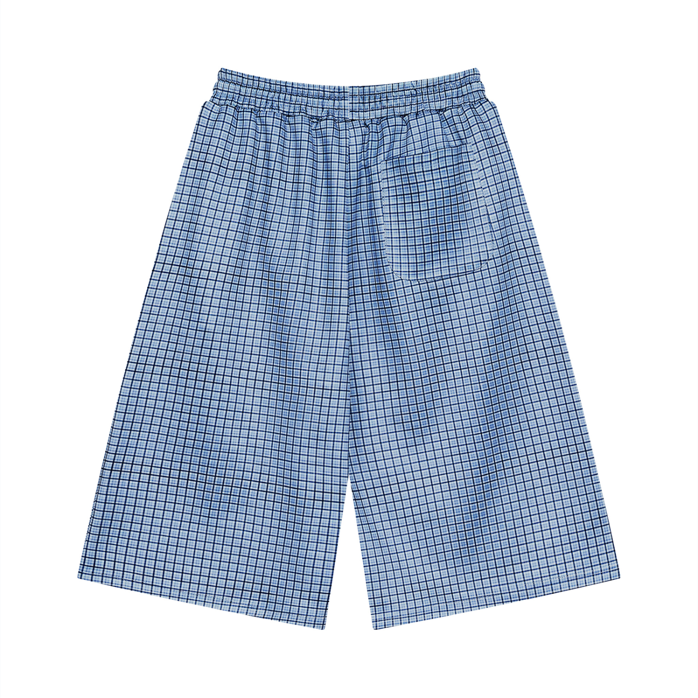 Baggy Plaid Shorts in Blue — back view
